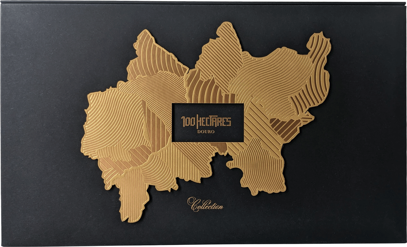 
                  
                    100 Hectares Collection Tinto
                  
                