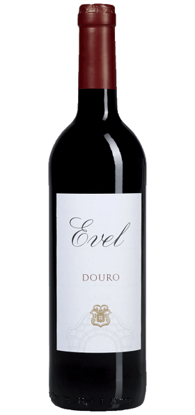 
                  
                    Evel Tinto
                  
                