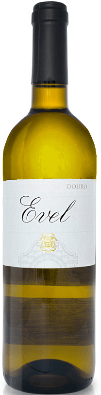 
                  
                    Evel Branco
                  
                