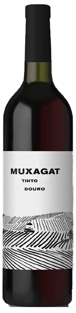 
                  
                    Muxagat Tinto 2018
                  
                