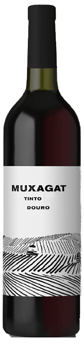 
                  
                    Muxagat Tinto 2018
                  
                