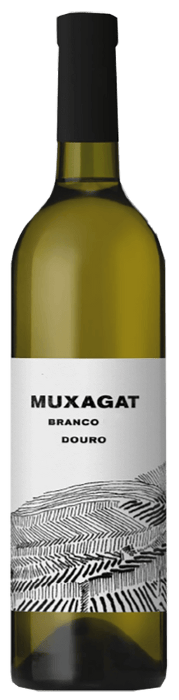 
                  
                    Muxagat White 2022
                  
                