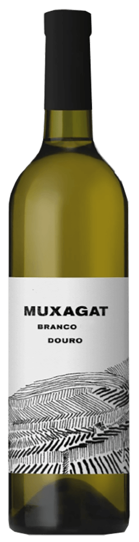 
                  
                    Muxagat Branco 2022
                  
                