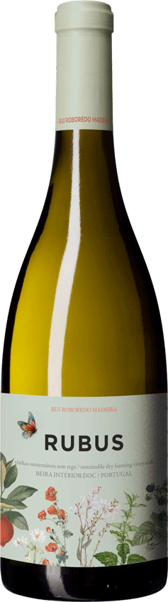 
                  
                    Rubus Branco
                  
                