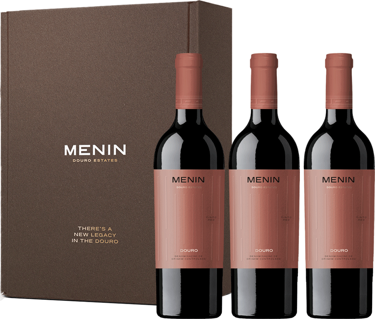 
                  
                    Conjunto 3 Menin Tinto
                  
                