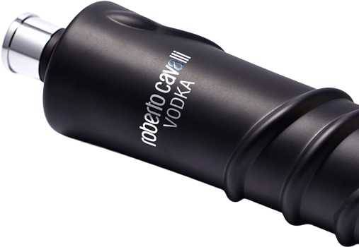 
                  
                    Vodka Roberto Cavalli Black Edition 1litro
                  
                