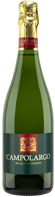 
                  
                    Campolargo Bical & Sauvignon Brut 2021
                  
                