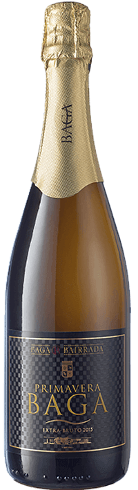 Primavera Berry Extra Brut 2019