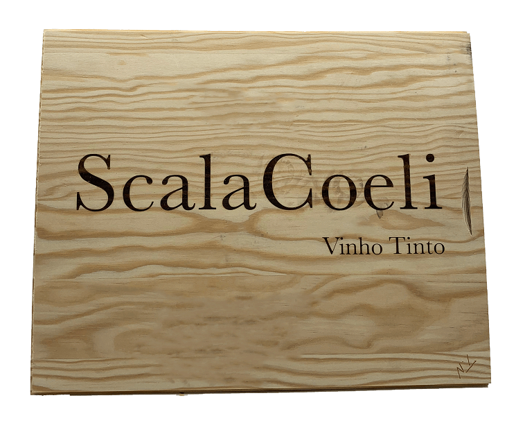 
                  
                    Scala Coeli Petit Verdot Tinto 2019
                  
                