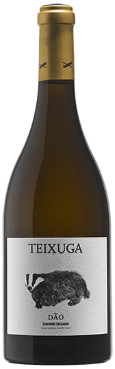 Teixuga White 2019