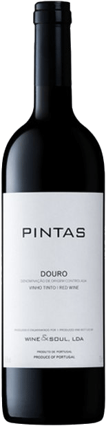 Pintas Tinto 2021