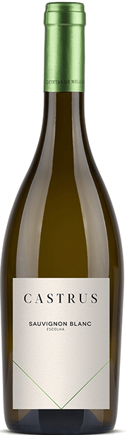 Castrus Sauvignon Blanc 2019