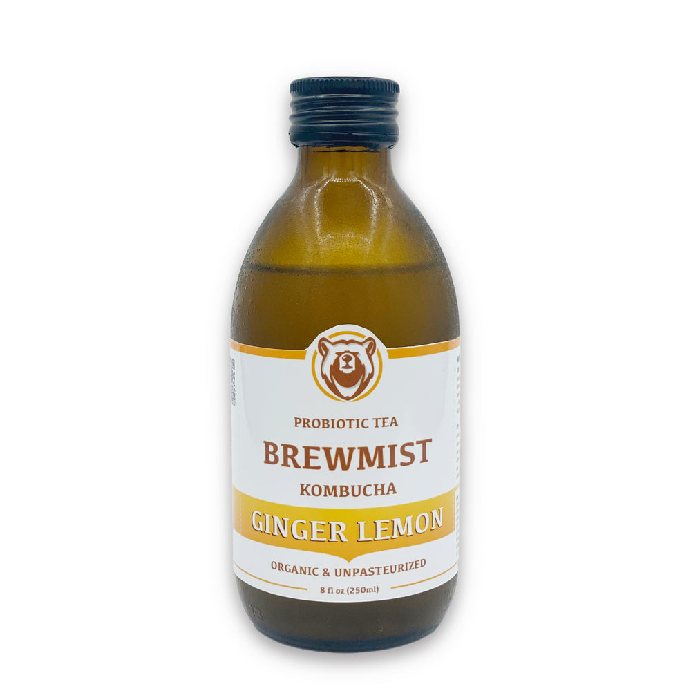 Brewmist Kombucha Ingwer Zitrone – Packung 12 x 250 ml
