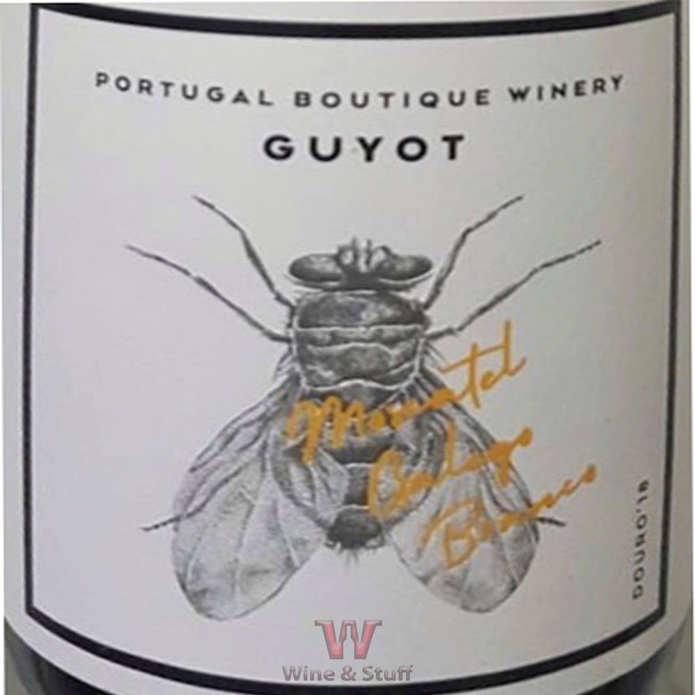 
                  
                    Moscatel Galego Guyot Wine
                  
                